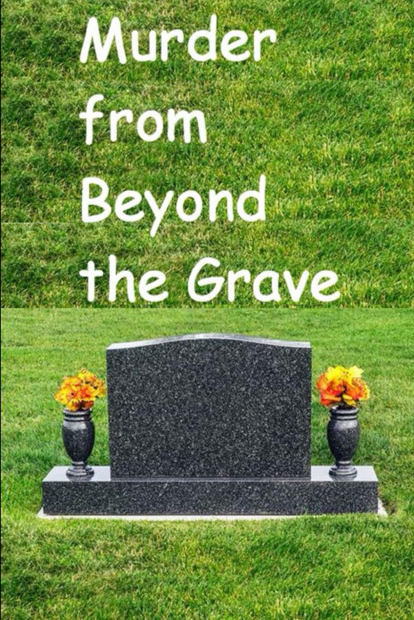 Murder from Beyond the Grave by Derek McMillan: A Durrington Detective Agency Story