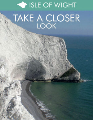 Take A Closer Look DVD or XBox Disc Written and Directed by Felicity Fair Thompson