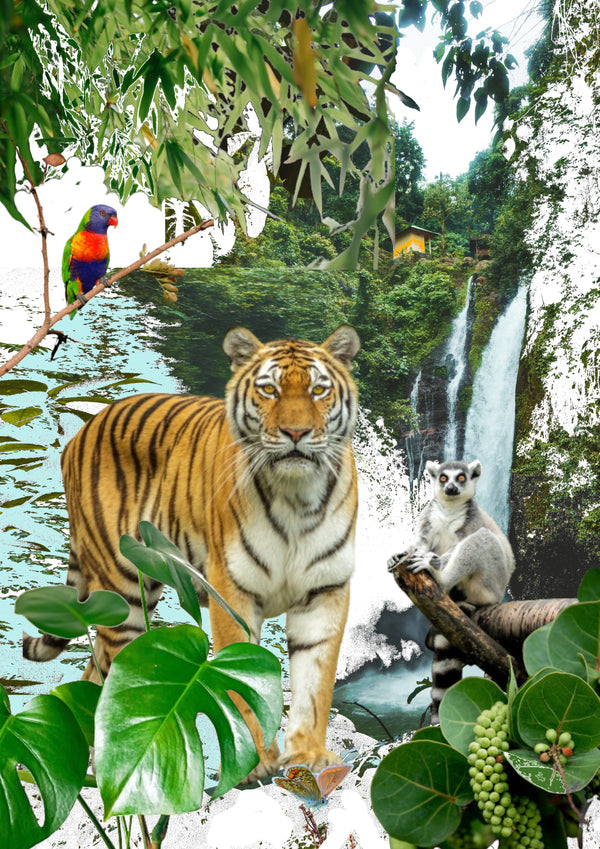 Tiger Paradise