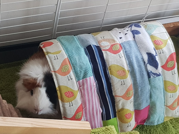 (P) Guinea Pig and Small Pets Bed with Tunnel