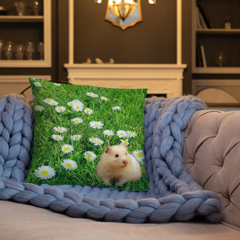 (CU) Daisies and hamster cushion