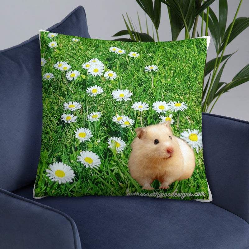 (CU) Daisies and hamster cushion